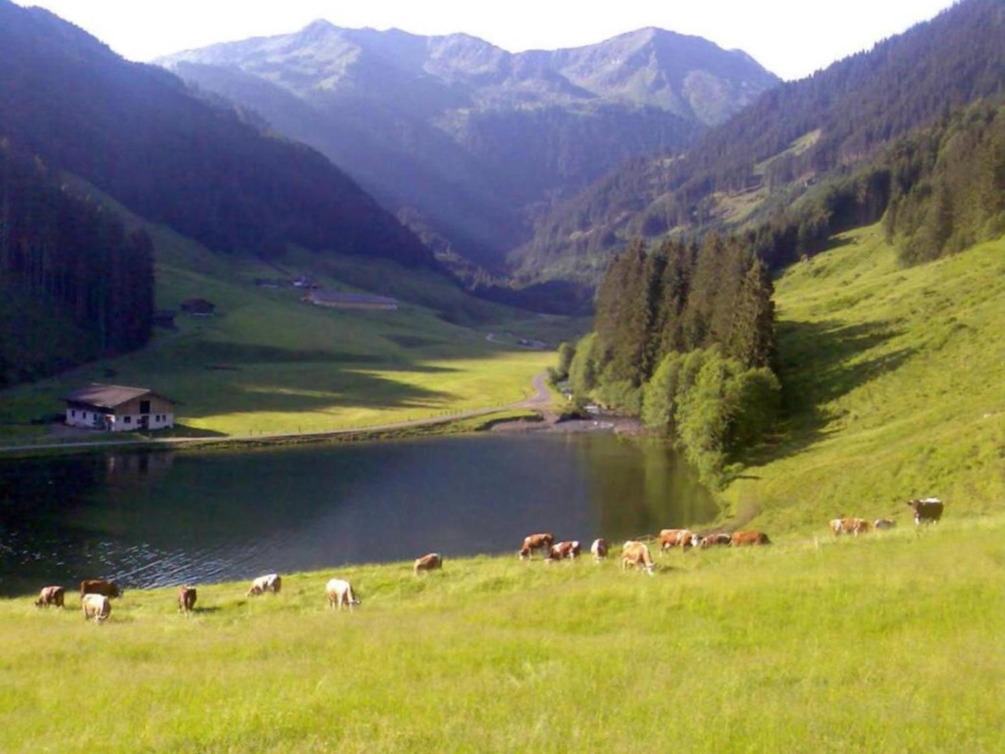 Heualm Villa Hopfgarten im Brixental Exterior foto